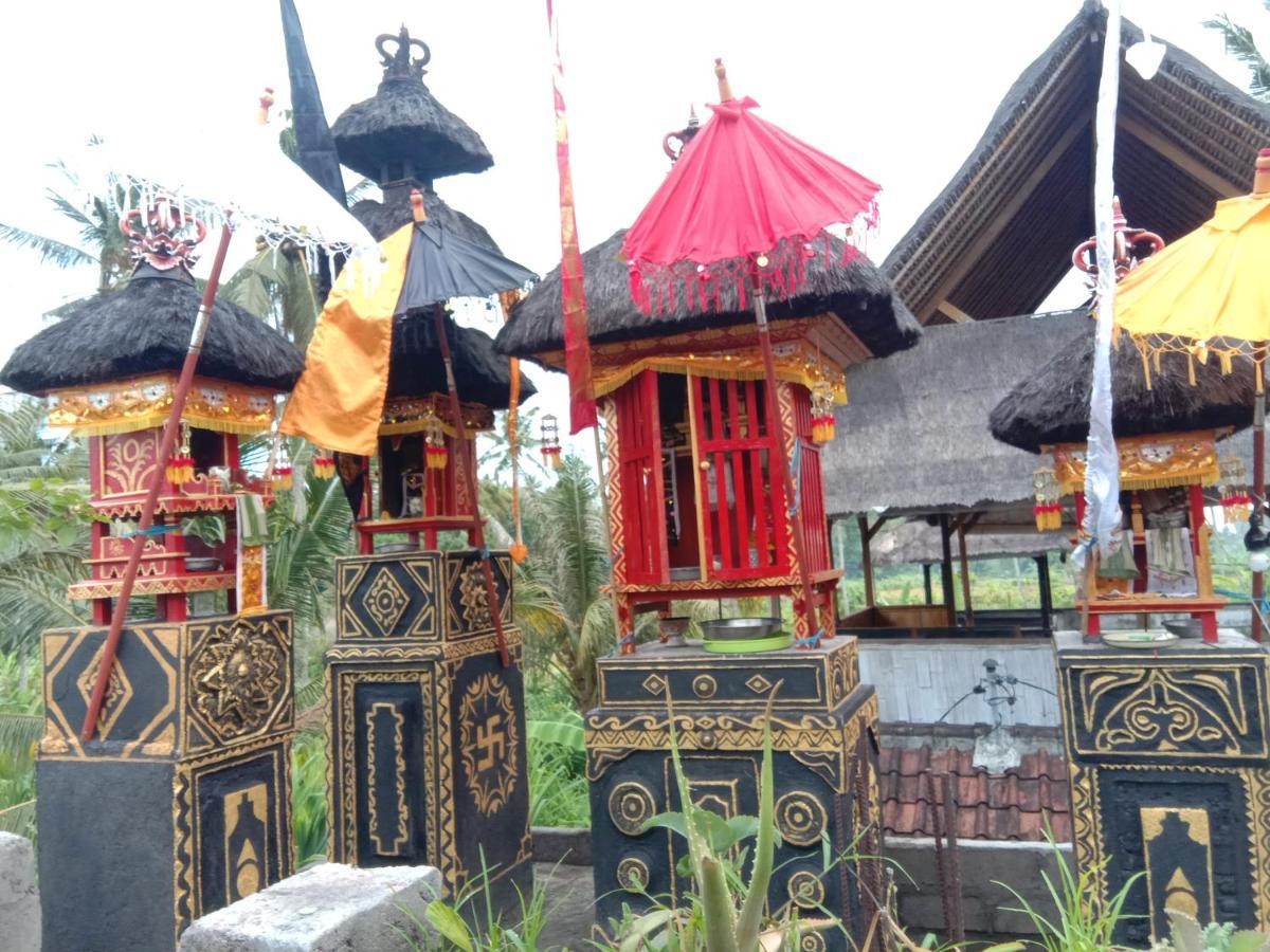 Pondok Diana Arta Jasri 외부 사진